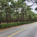 송정해변길 이미지