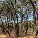 동중5길 | 양산 여행 당일치기 코스 추천 - 우동국밥,통도사,빌리커피바,양산타워,양산서리단길