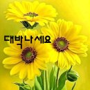 더 자자모텔 | ♡중개후기♡ 대구모텔매매 대구모텔임대 경북모텔매매 경북모텔임대 ★란타나호텔 동대구역점 탐방기★