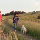 더오름민박 이미지