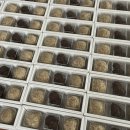 마디사랑의원 이미지