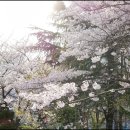 다정한족발 이미지