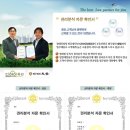법무법인대영