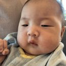 (주)엠알메탈로 | 여름철 신생아 피부관리 방법 한방에 보기! 발진, 땀띠 예방 ! 신생아, 100일 아기 썬크림, 썬스틱 추천