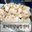 로타리곱창 | 부산연산동맛집 양곱창이모카세 연산동노포맛집 &#39;로타리양곱창센타 1번&#39;