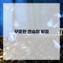 수채화(기초) 이미지