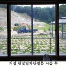 햇빛농장 이미지