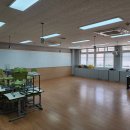 금동초등학교 Daum카페