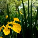 국힘당 댓글공작 어게인... 나라를 구한 &#39;뉴스타파 특종!&#39;, 자손군과 늘봄 &#39;불법 여론조작 본거지!!&#39;, 이재명을 집중 타겟으로 공격 이미지