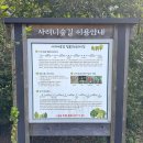 용호동 숲길 공중화장실 | 제주도 무료입장 사려니숲길 실내 가볼만한 곳 국립제주박물관