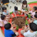 단감테마공원 이미지