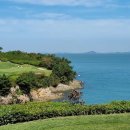 파인골프 이미지