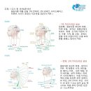 리사이드 이미지