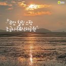 낙지공원 노을길 야영장 이미지