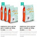 도그몰 이미지