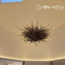 산넘어남촌엔 | 곤지암 남촌cc 명문 회원제 골프장 라운딩 후기 (서 --&gt; 동 코스)