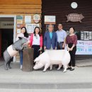 돼지잡는농부 이미지