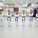 강한아이태권도 이미지