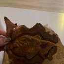 병아리김밥 구미상모점 이미지