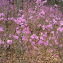 남문5길 이미지