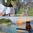 강릉 해파랑길 35코스 뚜벅이 여행(금진해변~심곡항~정동진역)
