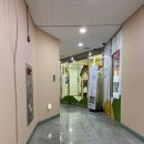 서초짐보리