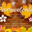 강아지와 고양이(Dog & Cat) 이미지