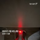 야근, 생리없는 생리통, 동생몬과 주말동안 놀기