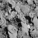 느티마을길 이미지