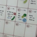 육*표 | 이유식달력 추천 스티커 포함 귀여운 육오빠 식단표 캘린더 후기