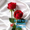 수요일 - 종로구 인사동길 36 | 수요일