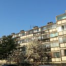 통합이주단지 이미지