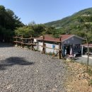 나무향기펜션&커피 이미지