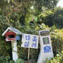 대흘샬레 | [제주숙소] 대흘샬레, 제주도 조천읍 독채 펜션 알밤실 후기