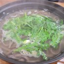 손맛칼국수 이미지