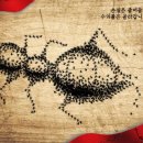 윤메디칼 이미지