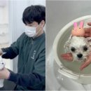 오멍누 이미지