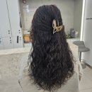 어니스트헤어 이미지