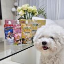 주식회사 포우