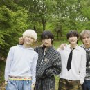 파우