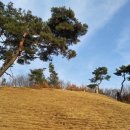 유복립 정려각 이미지