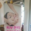 보떼용봉