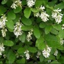 밥풀떼기 이미지