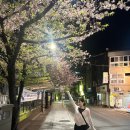사직오뎅바