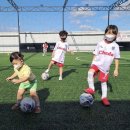 성황풋살장 풋살2구장 이미지