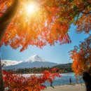 새동인약국 이미지