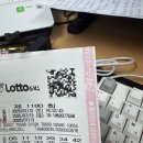 자연은동물병원 | 7월 셋째주 일상 낭만을 잃지 않을 거야!