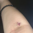 슬기로운코인노래연습장 이미지