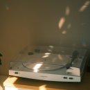 샘터한의원 | 이번 주 기대되는 일 10가지