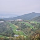 (주)푸른솔 이미지